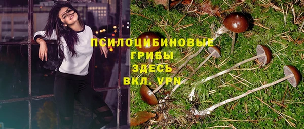 хмурый Балабаново
